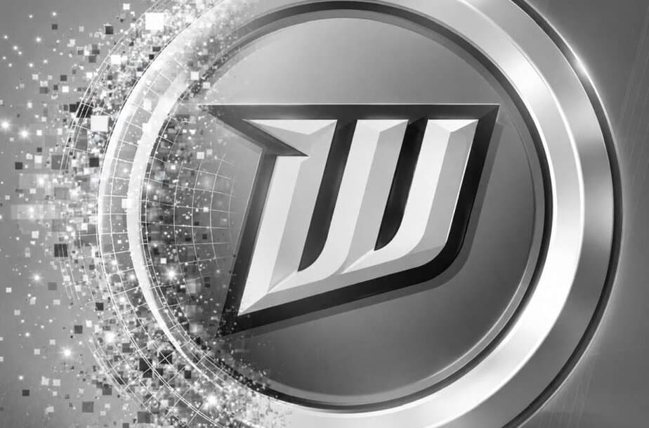 Wildcard Multiplayer Shutdown Announced