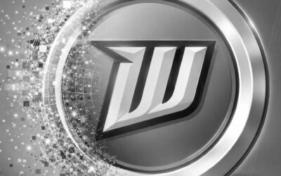 Wildcard Multiplayer Shutdown Announced